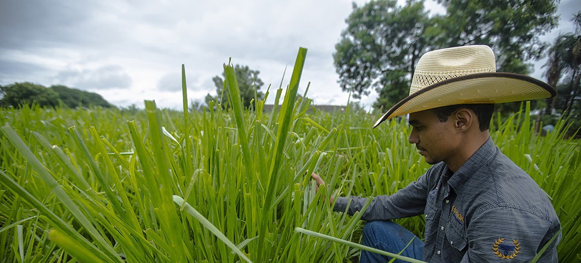 Banco Mundial empresta 500 milhões de dólares para a recuperação do agro em Goiás Banco Mundial empresta 500 milhões de dólares para a recuperação do agro em Goiás