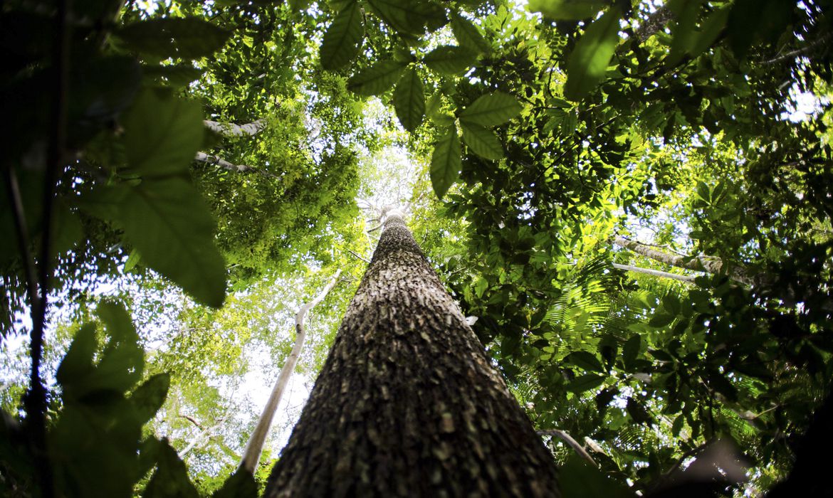 Países mais afetados pelas mudanças climáticas veem acordo da COP29 como uma ofensa Países mais afetados pelas mudanças climáticas veem acordo da COP29 como uma ofensa