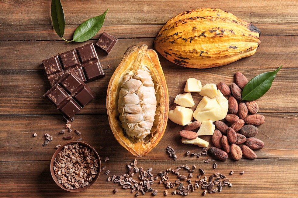 No Dia do Cacau, faz bem relembrar os benefícios dessa fruta para a saúde humana No Dia do Cacau, faz bem relembrar os benefícios dessa fruta para a saúde humana
