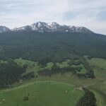 Fragmentação das florestas tropicais aumenta e coloca em risco o clima e a biodiversidade