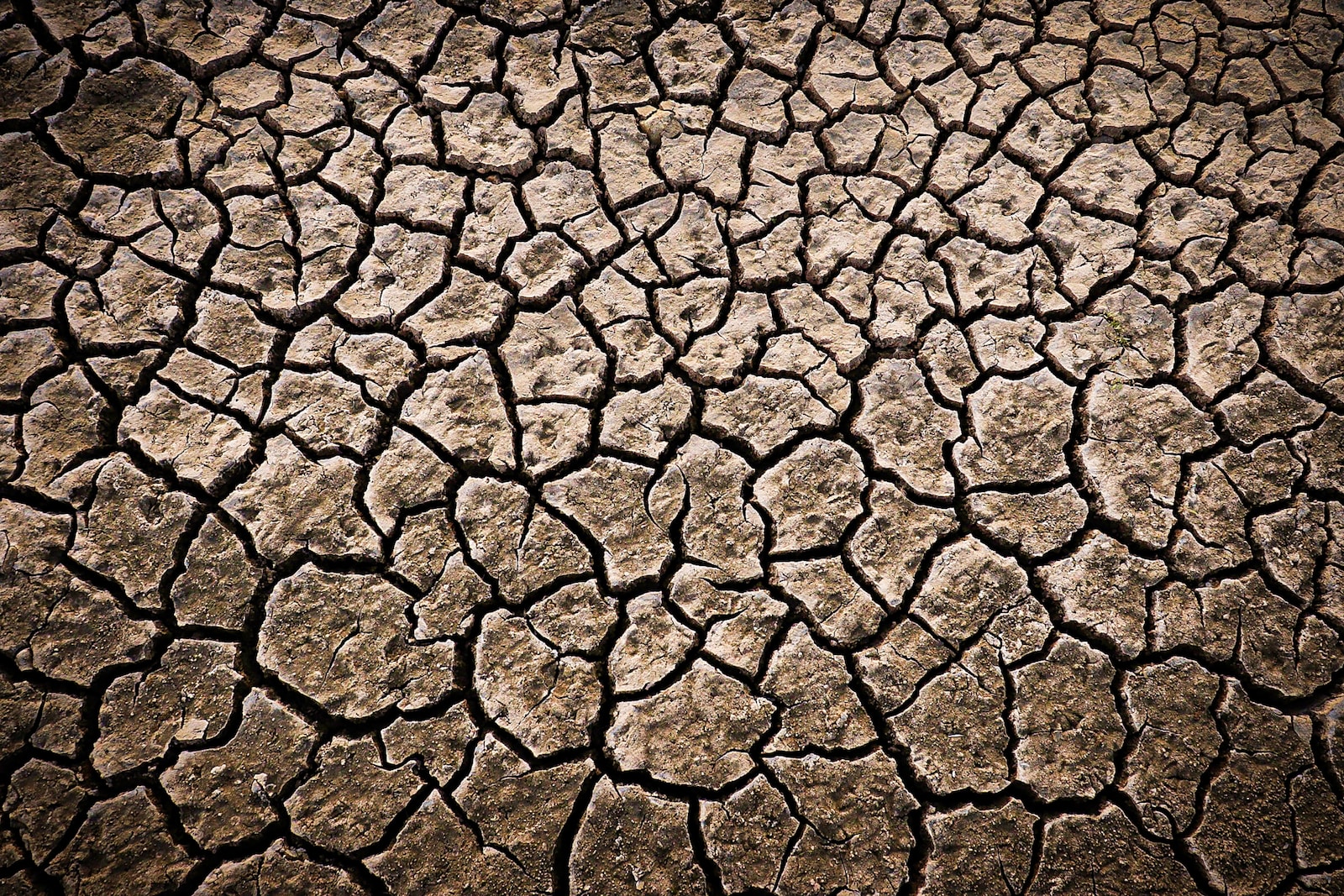 Ministério chama pesquisadores para rede de combate à desertificação Ministério chama pesquisadores para rede de combate à desertificação