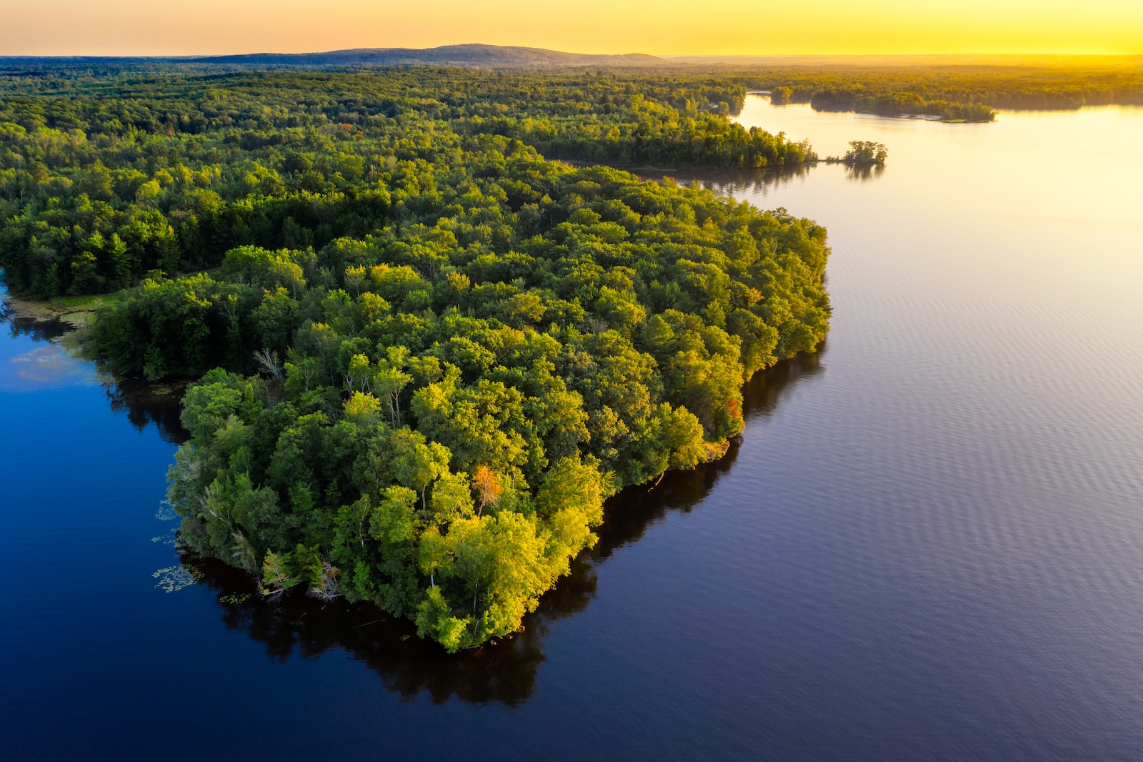 Mudança do clima está levando as árvores da Amazônia a ponto crítico Mudança do clima está levando as árvores da Amazônia a ponto crítico