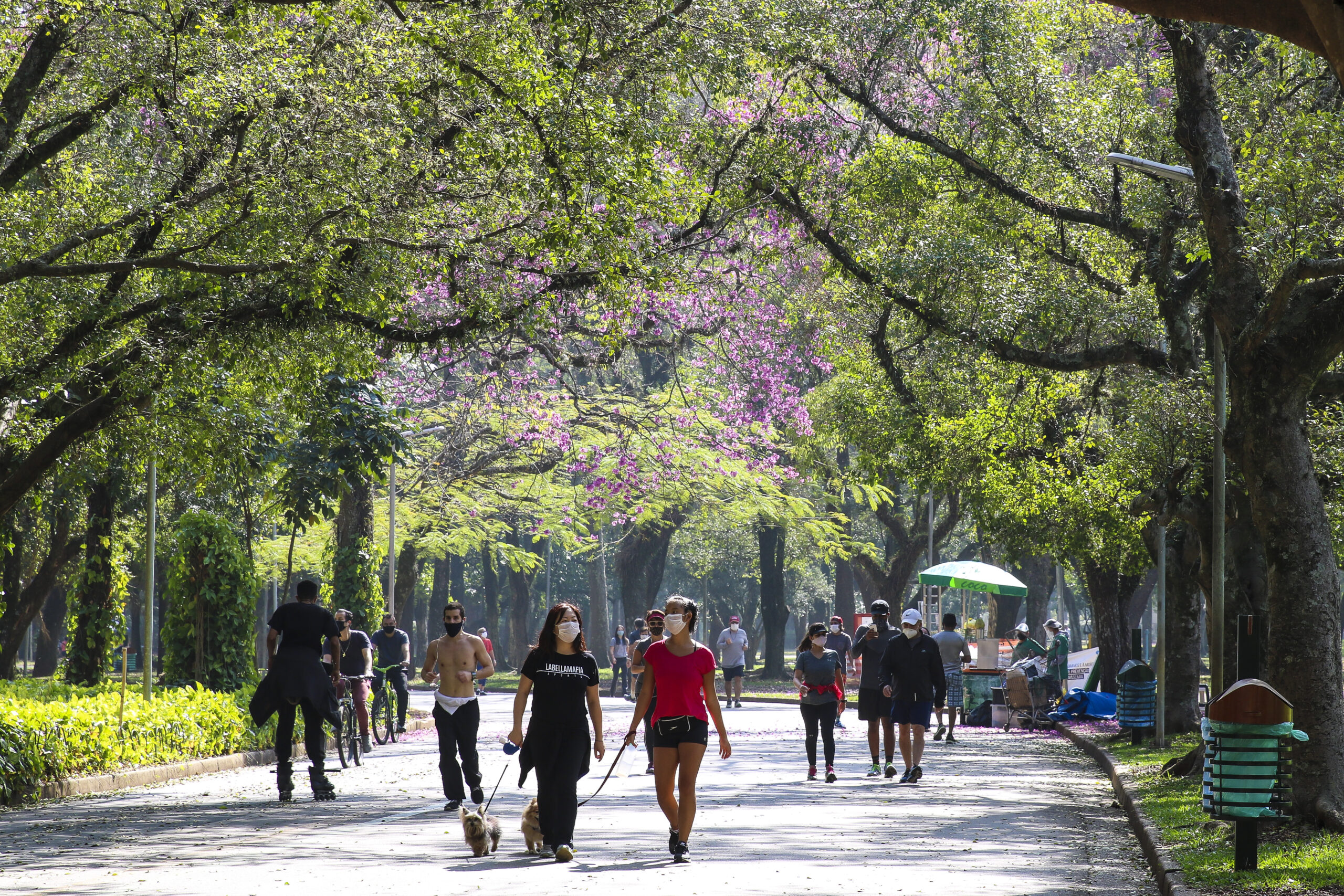 Ibirapuera: associações de bairro se unem contra danos ambientais ao parque Ibirapuera: associações de bairro se unem contra danos ambientais ao parque