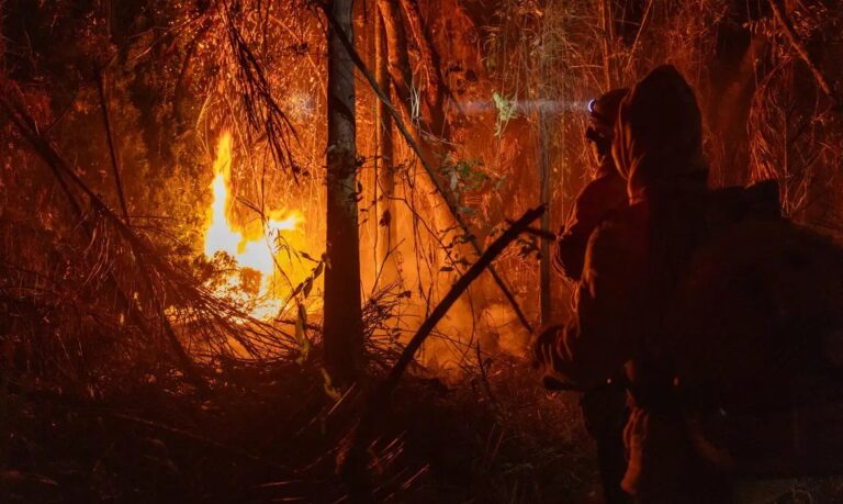 Brasil. Área queimada bate recorde em 2024. Ação humana provocou fogo na floresta amazônica