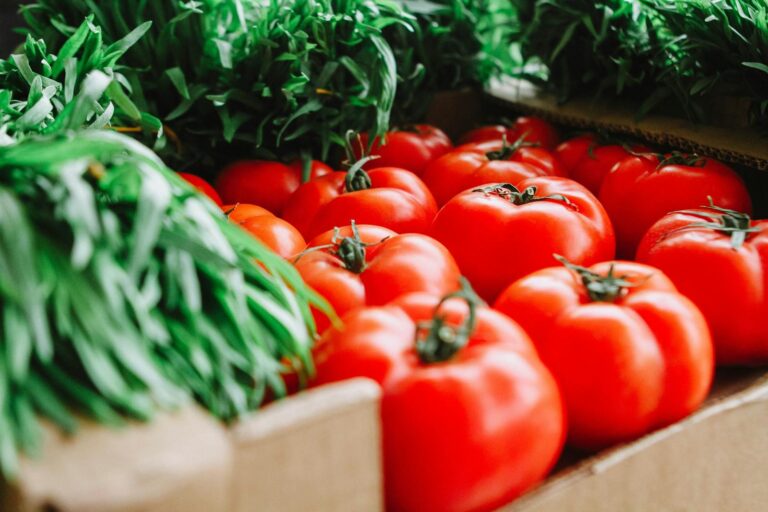 Boa notícia: tomates mais saborosos e nutritivos podem chegar à nossa mesa graças a cientistas brasileiros