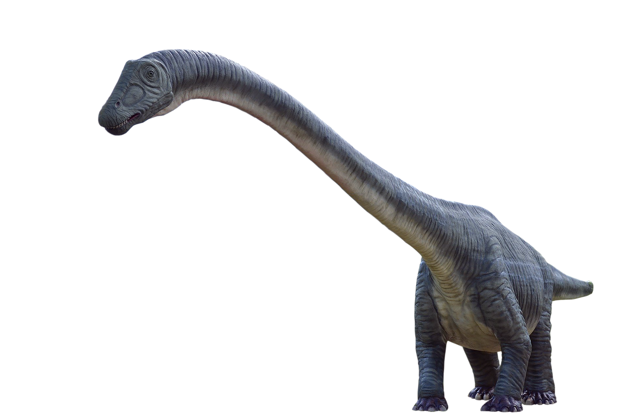Doença óssea mortal dizimou dinossauros de pescoço longo há 80 milhões de anos no interior de São Paulo Doença óssea mortal dizimou dinossauros de pescoço longo há 80 milhões de anos no interior de São Paulo