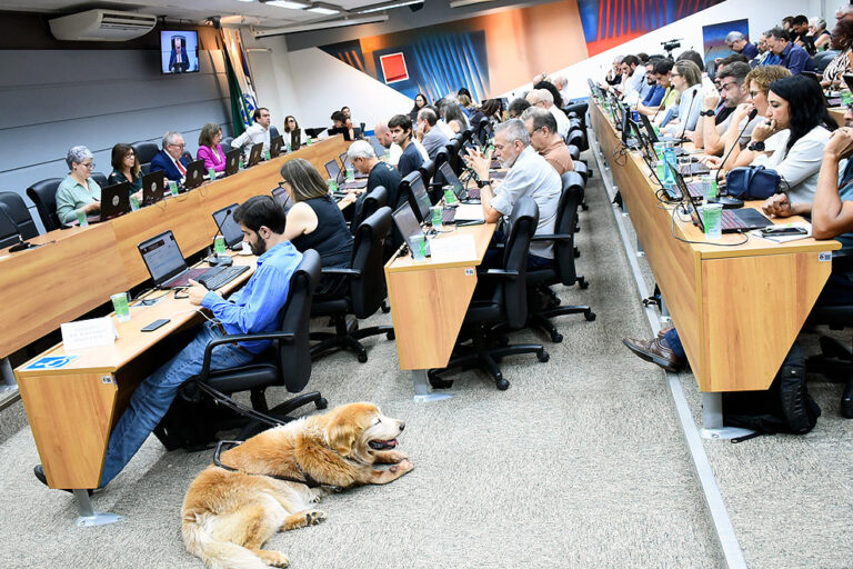 Unicamp rompe acordo com instituto israelense de pesquisa em protesto contra ações em Gaza