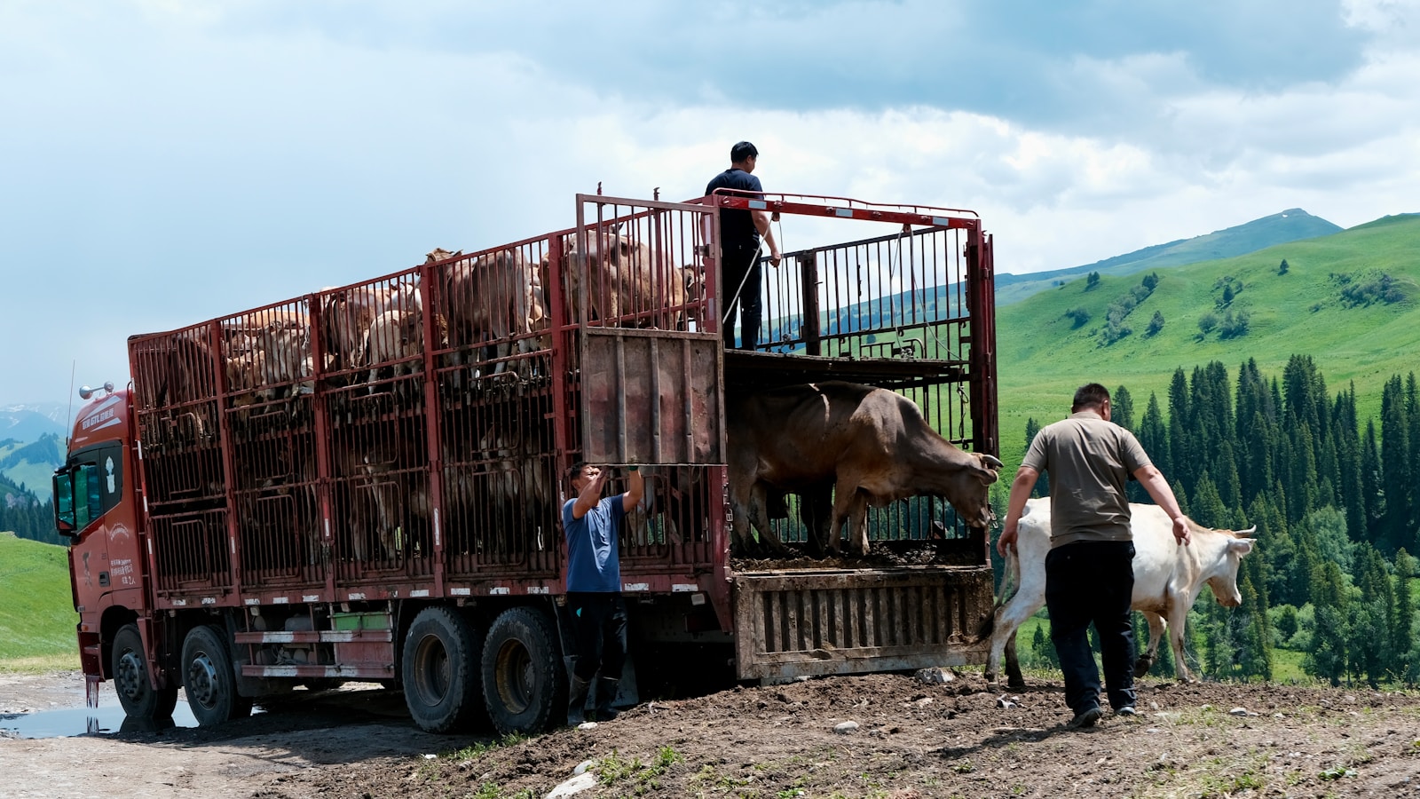 TST condena JBS a indenizar família de motorista morto por covid-19 em viagem a trabalho
