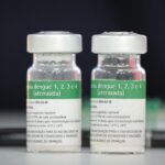 Dengue. Vacina do Butantan vai demorar um pouco mais para chegar &agrave; popula&ccedil;&atilde;o. Vacina japonesa continua dispon&iacute;vel