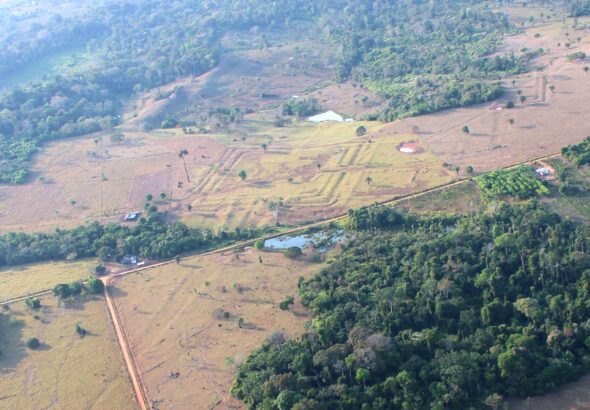 &Aacute;rea do Acre e do Amazonas pode ter sido povoada por milh&otilde;es de pessoas h&aacute; mais de 18 s&eacute;culos, sugere estudo