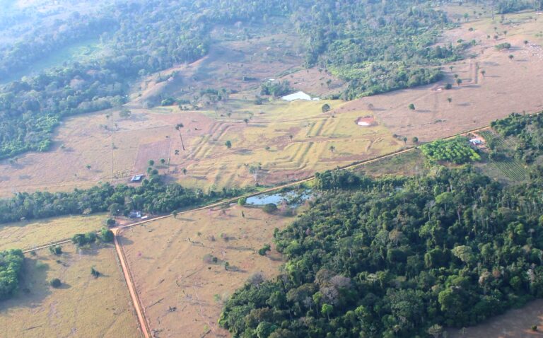 &Aacute;rea do Acre e do Amazonas pode ter sido povoada por milh&otilde;es de pessoas h&aacute; mais de 18 s&eacute;culos, sugere estudo