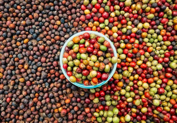 Estudo da Uni&atilde;o Europeia mapeia exposi&ccedil;&atilde;o do agro brasileiro e pode subsidiar novas exig&ecirc;ncias sobre importa&ccedil;&otilde;es