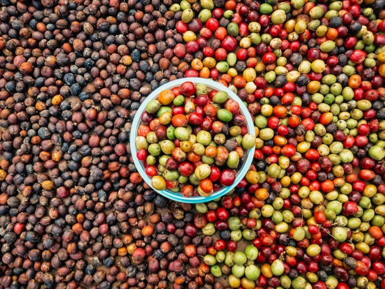 Estudo da Uni&atilde;o Europeia mapeia exposi&ccedil;&atilde;o do agro brasileiro e pode subsidiar novas exig&ecirc;ncias sobre importa&ccedil;&otilde;es